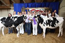 The Mississippi State University Dairy Science Club took home several awards at the Mississippi State Fair on Oct. 11, 2013, including Junior Champion Holstein and Reserve Junior Champion Holstein. Pictured from front left: Hannah Fillyaw, Emmy King, Alexis Caudill, Erin Thompson, Dorothy Claypool, Melissa Steichen, Hailey McGuire, Sarah Allen, Delancey Fortin, Moira Knott, Alexis Parisi, Rebecca Broome, Stephanie Opp, Sydney Tamashiro, Shawna Blau, Jennifer McPherson; back row: Casey Jowers, Kaylin Chaney,