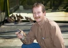 Wes Burger inspects a bobwhite quail at the university's Wildlife and Fisheries Research and Educational Facility in Starkville. (Photo by MSU University Relations/Russ Houston)