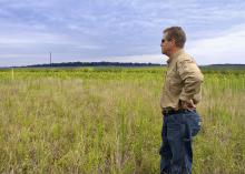 Guy Ray, president of Pleasant Lake Plantation, looks over grasslands on the property on July 31, 2014. He has implemented numerous conservation land management practices to make the Leflore County, Mississippi, plantation a model of sustainability and functionality. (Photo by MSU Ag Communications/Kevin Hudson)