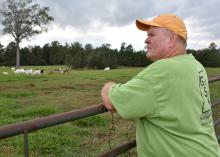 Darryl Byrd watches a herd of goats at Dewayne Smith's Greene County, Mississippi, farm on Oct. 13, 2014. Byrd began raising Kiko goats 10 years ago and now sells his breeding stock all over the country. (Photo by MSU Ag Communications/Kevin Hudson)