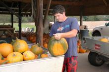 John Stockton wipes down a pumpkin freshly harvested				on the Mayhew Tomato Farm in Lowndes County. (Photo by Linda Breazeale)