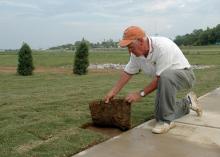 Mississippi State University Extension turf specialist Wayne Wells inspects newly laid sod during the establishment of the Veterans Memorial Rose Garden, near the entrance to the R. Rodney Foil Plant Science Research Facility. (File photo by MSU Ag Communications/Linda Breazeale)