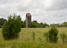 Abandoned corn silage silos dot the Mississippi countryside as towering monuments marking the locations of former dairy farms like this one in Oktibbeha County on May 30, 2014. (Photo by MSU Ag Communications/Linda Breazeale)