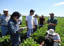 Mississippi State University Extension associate Richard Atwill of the Delta Research and Extension Center in Stoneville, right, explains the peanut crop management process to participants in the Cochran Fellowship Program on June 21, 2017. (Photo submitted by Prem Parajuli)