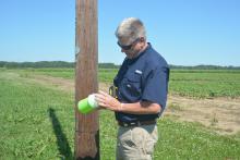 Mississippi Boll Weevil Management Corp. representative Mike Mullendore checks one of the cone-shaped traps located near a Mississippi State University research field on June 27, 2017. The traps evolved from U.S. Department of Agriculture research at the Robey Wentworth Harned Laboratory, commonly known as the Boll Weevil Research Lab at MSU. (Photo by MSU Extension Service/Linda Breazeale) 