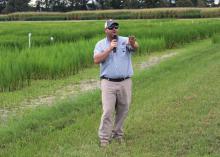 Bobby Golden, a rice and soil fertility agronomist with the Mississippi State University Extension Service, speaks to attendees of the MSU Delta Research and Extension Center Rice Producer Field Day in Stoneville, Mississippi, on Aug. 2, 2017. (Photo by MSU Extension Service/Kenner Patton)