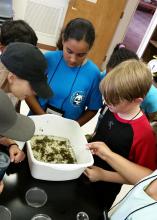 Young participants in a conservation camp at Mississippi State University in 2016 learn about water quality as they examine captured aquatic macroinvertebrates. (Submitted photo)