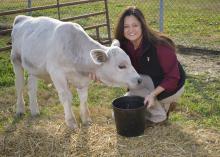 Woman inside a gate in a pasture feeding a white cow.