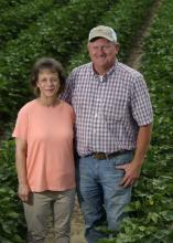A wife and husband stand in a field with cotton rows.
