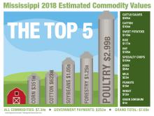 This illustration shows the top five agricultural commodities in Mississippi in a bar graph with each bar resembling a silo standing next to a barn. The top five commodities are poultry, forestry, soybeans, cotton and corn. Other commodities are also listed.
