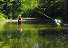 A fisherman in rubber waders stands in a small, quiet stream and casts a lure toward the viewer.