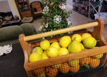 A wooden and wire basket full of yellow and orange fruit sits indoors with a Christmas tree in the background.