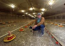 A man wearing a baseball caps squats down inside a poultry house, holding a black camera. Feeders line the floor in rows, small, yellow chicks feed nearby, and the house stretches behind him in the distance.