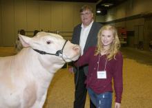 A teenage girl holds the halter on the face of her muscular, white steer as she and a tall man standing behind them look at the photographer.