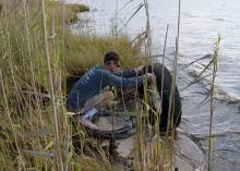 A man kneeling in tall grass picks up a tire out of water.
