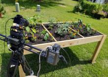 A camera and gear on a tripod point at a shallow wooden box that is raised off the ground and holds soil and small plants.