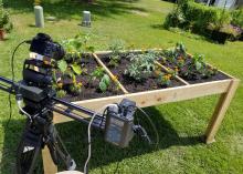A camera and gear on a tripod point at a shallow wooden box that is raised off the ground and holds soil and small plants.