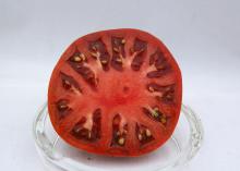 The open half of a dark-red tomato sliced through the middle appears in a clear glass bowl in a plain white setting.