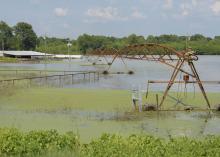 A pivot irrigation system stands in algae-covered water in a flooded field with farm buildings in the distance.