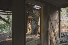 An open doorway leads into an abandoned wooden shack.