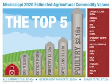 Chart shows top agriultural commodities in Mississippi.