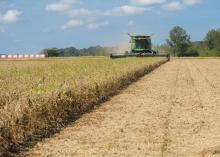 A combine harvester cuts hay in a field.