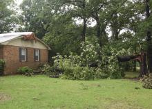 A large hardwood tree is snapped off and lays on the ground beside a house.