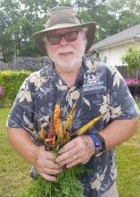 A man holds a handful of just-pulled yellow and orange carrots.