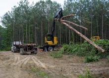A large, yellow machine lifts downed trees to load onto a log truck.