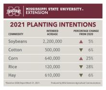 Graphic showing 2021 planting intentions