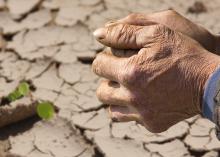 Hands clasped together over a dry field.