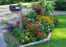 Various sizes and colors of flowers fill a mailbox landscape bed.