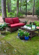 An outdoor seating area rests on a moss-covered carpet.