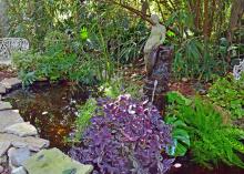 A small, garden pond is surrounded by plants.