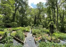 A garden is divided into raised beds with wide paths between them.