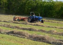 Johnny Howell rakes his last row of hay before moving on to the next field on Aug. 3, 2016, in the Bell Schoolhouse Community north of Starkville, Mississippi. The state’s hay production is projected to fall slightly this year, as growers face heat-induced infestations of fall armyworms. (Photo by MSU Extension Service/Linda Breazeale)