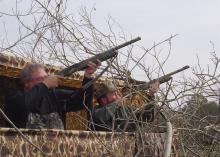 Two hunters in Claiborne County take aim at incoming crows. Much like duck hunting, participants wait in blinds overlooking decoys. (File photo by MSU Extension Service/Cliff Covington)