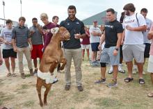 Freshman Alec Murphy of Nixa, Missouri, and other members of the Mississippi State University football team play with a goat during the fifth annual Beefing Up the Bulldogs event at MSU on Aug. 16, 2015. Event sponsors included the Mississippi Cattlemen’s Association, the Mississippi Beef Council, First South Farm Credit and the MSU Department of Animal and Dairy Sciences. (Photo by MSU Ag Communications/Kat Lawrence)
