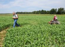 Stanley Wise, Union County Extension director, used a GPS unit to map out a maze for Andy Clark to mow into his sorghum-Sudangrass field at Clark Farms in Chickasaw County on Sept. 12, 2012. Clark added the agritourism business to his sweet potato operation and has found grass easier to grow for his maze than corn. (Photo by MSU Ag Communications/Scott Corey