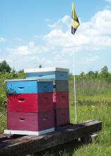 Mississippi beekeepers can post a "Bee Aware" flag, such as this one flying in a bee yard in Monroe County, Mississippi, to raise awareness of pollinators in the area. (Photo by MSU Extension Service/Reid Nevins)