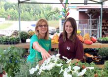 Libby Beard, co-owner of The Flower Center in Vicksburg, Mississippi, left, and Anna McCain, Warren County Extension agent, look over some of the fall bedding flowers available on Oct. 7, 2015. (Submitted photo)