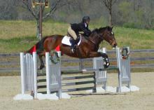 Alli George, a junior from Memphis, Tennessee, and Eventing Team vice president, competes with her horse, Belle of the Ball, in the show jumping phase of an eventing competition in Fairburn, Georgia, held April 4-5, 2015. (Submitted Photo)