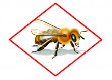 The bee hazard icon and accompanying label information are designed to provide warnings and information that will allow chemicals to be used against pests while protecting pollinators from exposure. (Graphic by Environmental Protection Agency)