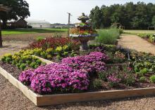 This raised bed at the Mississippi State University Truck Crops Branch Experiment Station in Crystal Springs captured the All-America Selection judges’ hearts. They praised the beauty and tidiness of the garden, as well as the creativity of the fountain bed, which this year flowed with cascading flowers rather than water. (Submitted Photo)