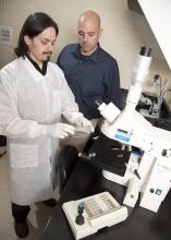 Drs. Peres Ramos Badial, left, and Camillo Bulla, researches in the Mississippi State University College of Veterinary Medicine, study how platelets alter cancer cells and help them metastasize. (Photo by MSU College of Veterinary Medicine/Tom Thompson)