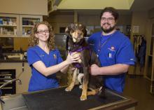 Mississippi State University College of Veterinary Medicine graduates Brittany Storey and David Eldridge are both pursuing careers as veterinary medical technicians in Memphis, Tennessee. (Photo by MSU Extension/Kevin Hudson)