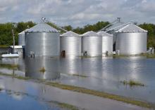 Flooded grain bins in Crowley, Louisiana, are among the many problems Louisiana producers are facing after historic flooding caused more than $100 million in damage to the state’s agriculture. Mississippi State University Extension Service personnel have worked with state hay growers to send forage to producers in Louisiana affected by flooding earlier this month. (Photo by Louisiana State University AgCenter Communications/Bruce Schultz)