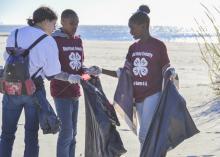 Jessica Lero, left, records the types of trash Kaileb Williams, center, and Laila Williams found while participating in the 2016 Mississippi Coastal Cleanup on Oct. 22 in Biloxi, Mississippi, with their Mississippi State University Extension Service 4-H club in Harrison County. They joined about 2,400 volunteers to collect more than an estimated 10 tons of trash during the 28th annual event. (Photo by MSU Extension Service/Susan Collins-Smith)