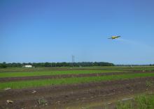 Nitrogen is applied to rice fields as urea, which is being sprayed by aerial application on this preflood field in Washington County, Mississippi, in June 2015. (Photo by MSU Extension Service/Lee Atwill)