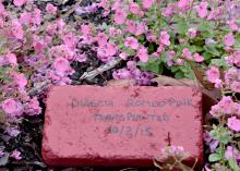 A painted paver offers a blank slate for writing plant information for display in the garden or landscape. A fresh coat of paint provides a clean surface for next year. (Photo by MSU Extension Service/Gary Bachman)